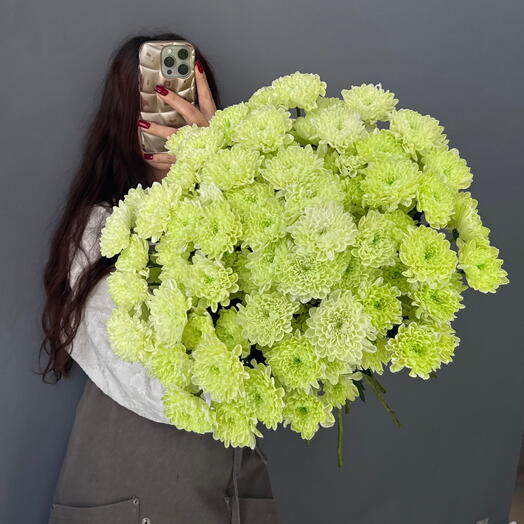 Охапка💚 Фисташковая Хризантема Алтай 15 шт
