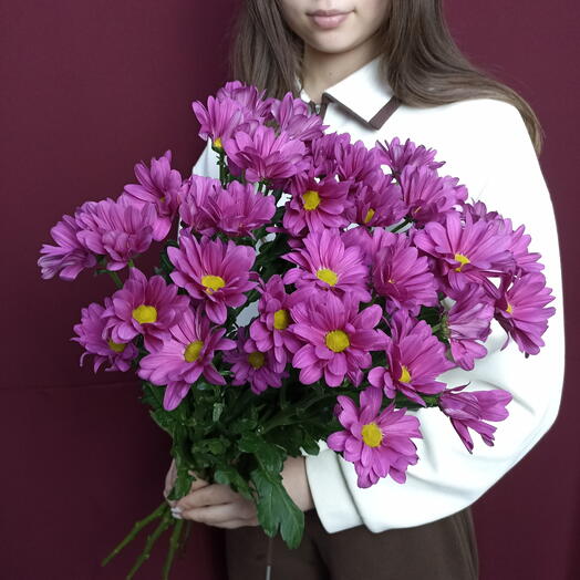 5 лиловых кустовых хризантем