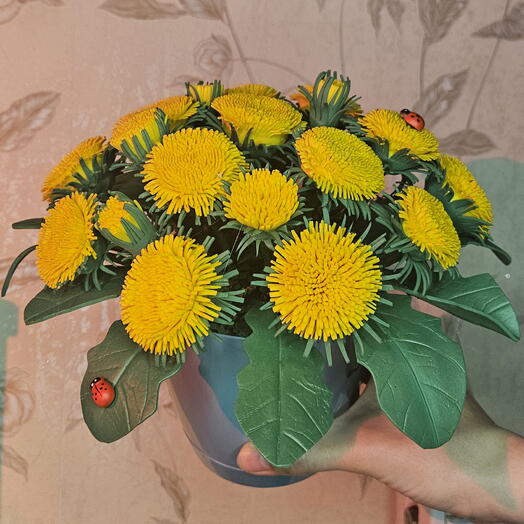 Одуванчики весенние