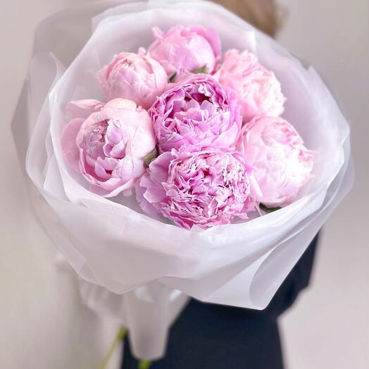 Розовые мечты: 7 пионов 🌸 (хит сезона)