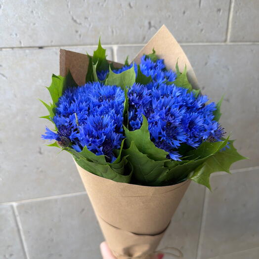 Васильки 💙💙💙💙