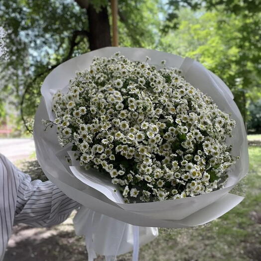 Большой букет ромашек