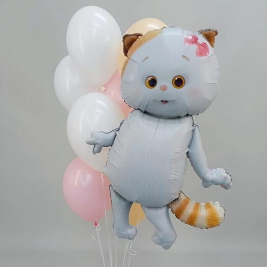 Шары и кошечка