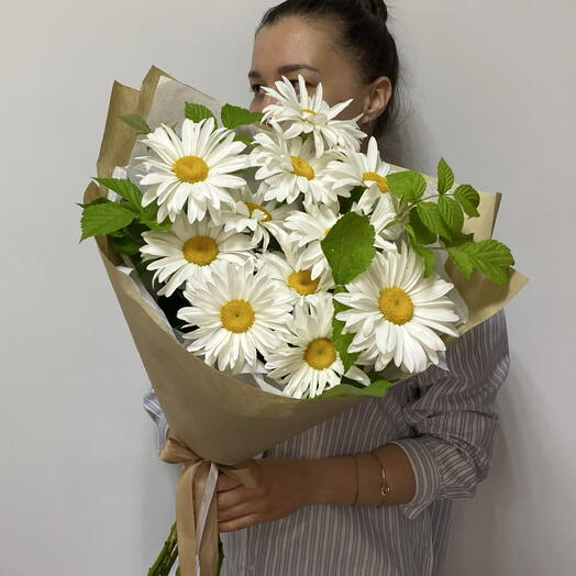 Одиннадцать ромашек
