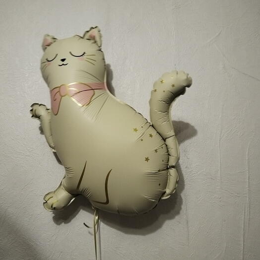 Шар кошка
