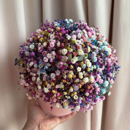 Коробка с радужной гипсофилой М🌸