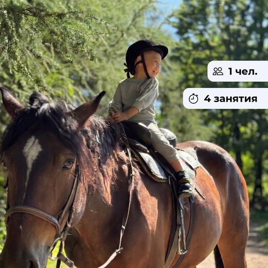 Конный старт. Курс верховой езды для детей