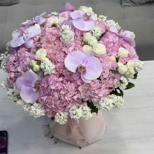 Maison Mix Pink💗