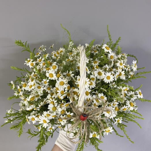 Корзиночка с ромашками