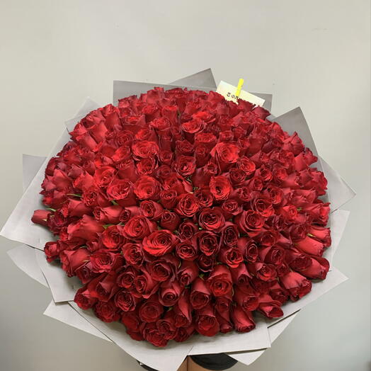 Букет 201 роза 🌹
