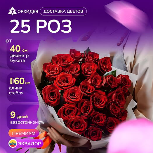25 роз "Эксплорер"