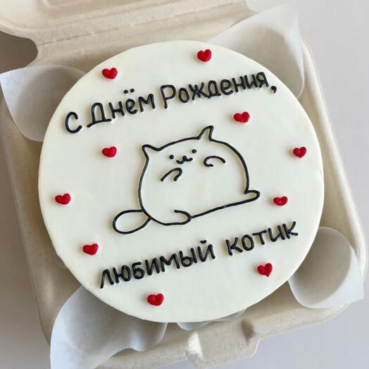 Бенто-торт (М) «С днём рождения, любимый котик»