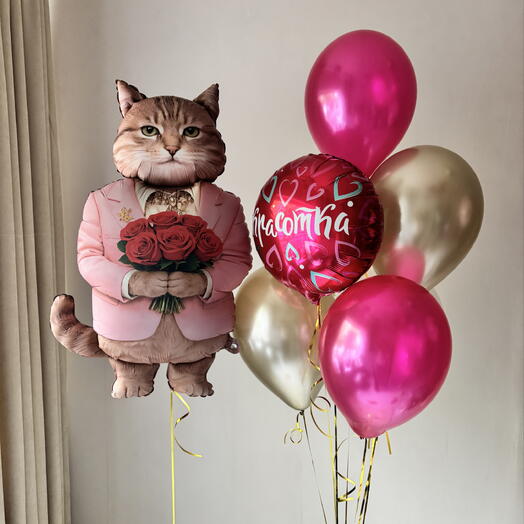 Воздушные шарики с котом для подруги