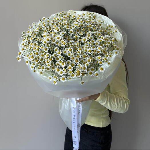 Монобукет 19 кустовых ромашек