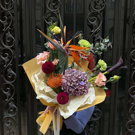 Autumn Symphony