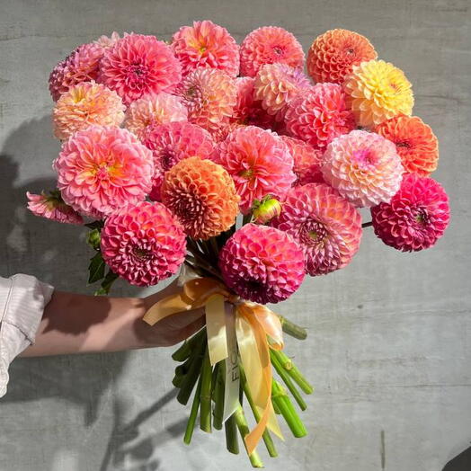 Warm Bloom