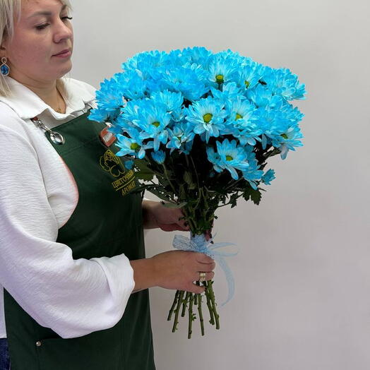 243 Голубая кустовая хризантема Бакарди 9 шт. под ленту