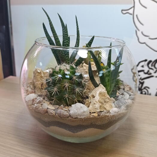 Кактусевич
