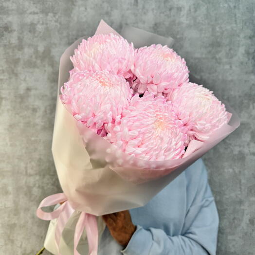 Букет из одноголовых крупных хризантем 5 штук для девушки 💕🌸♥️ цвет розовый 💖