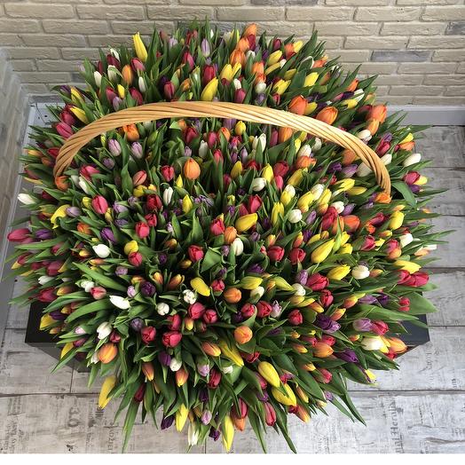 1001 tulipán en una cesta