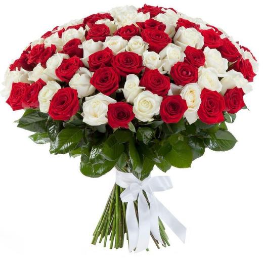 51 rosa roja y blanca