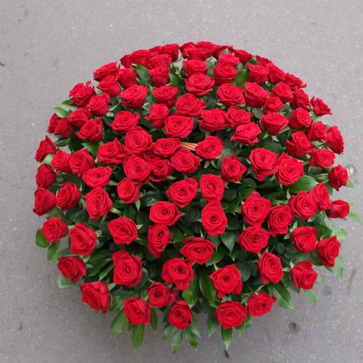Basket red 101