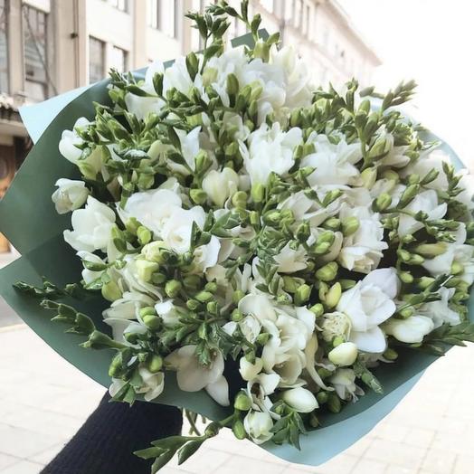 Букет из 51 белой фрезии