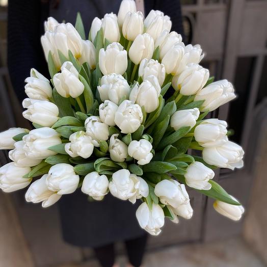 white tulips 51