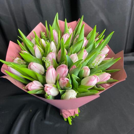 Pink tulips