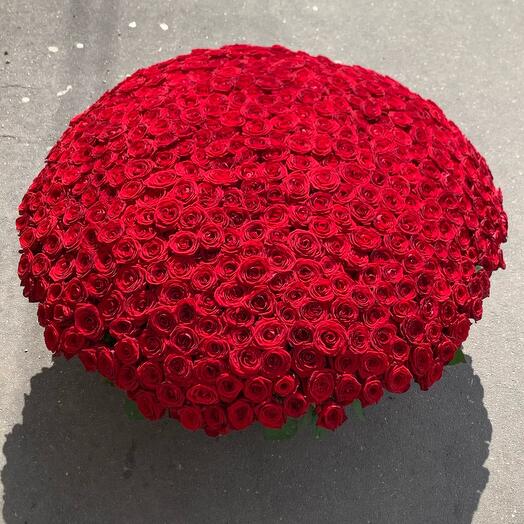 333 Роза в Корзине