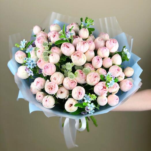Softness