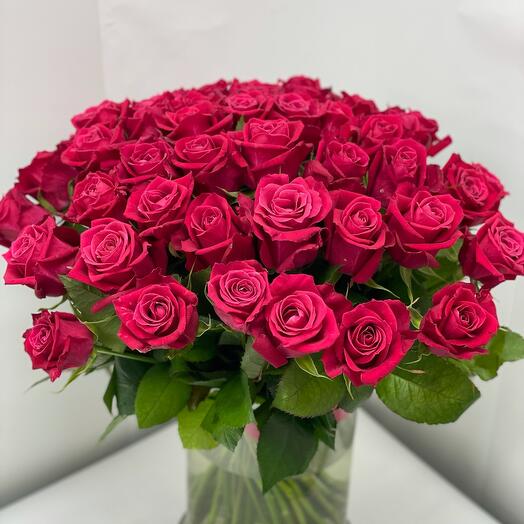 51 rosa carmesí 💕