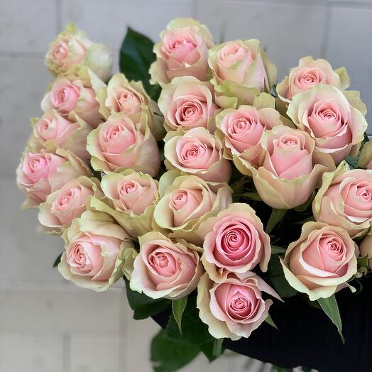Flowers Rozas Роза Frutetto 60см, Цветы и подарки в Анапе, купить по цене 300 руб ...