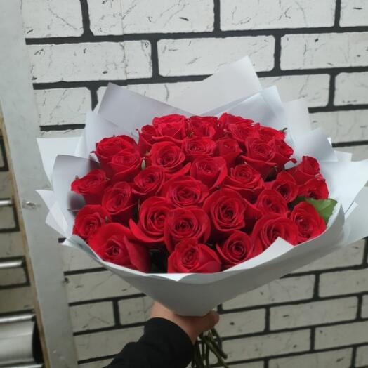 31 rosa roja