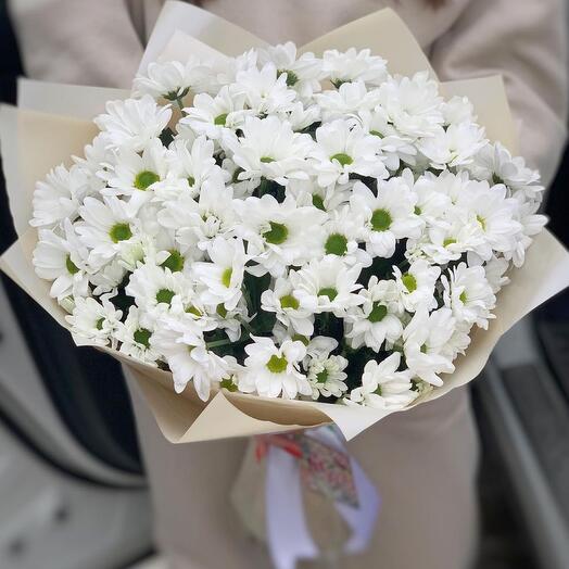 Chrysanthemum