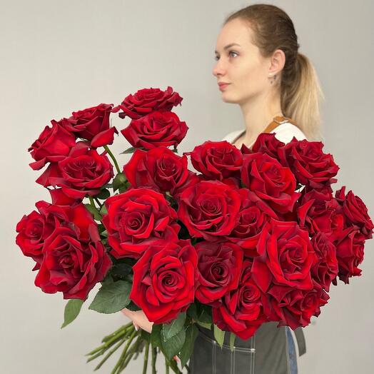 Red French roses