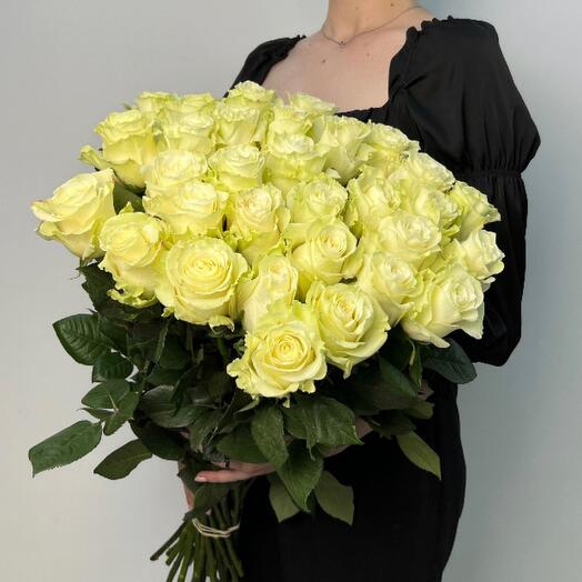 Роза Мондиаль 25 шт