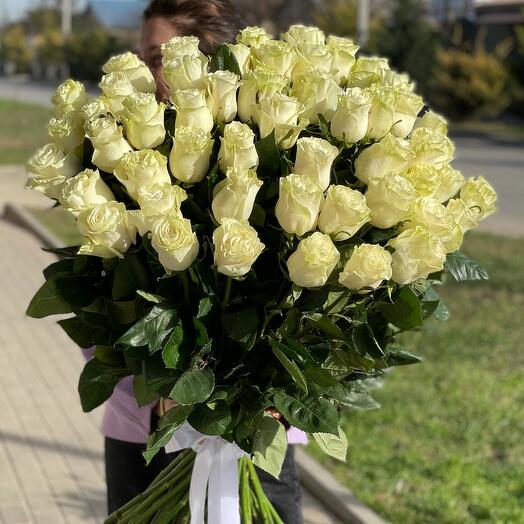 51 Белая Роза