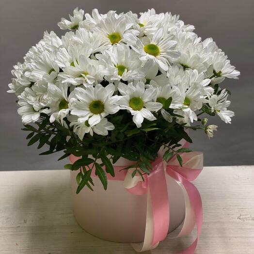 Daisies in a hatbox