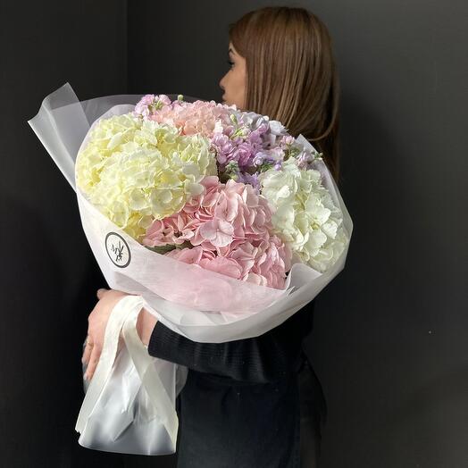 Bouquet of hydrangeas Delicate marshmallow