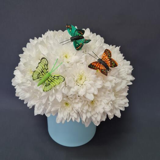 Crisantemo esponjoso con mariposas