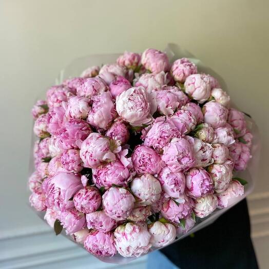 101 peonies in a package