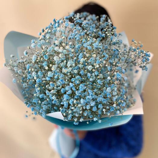 Blue gypsophila in a package
