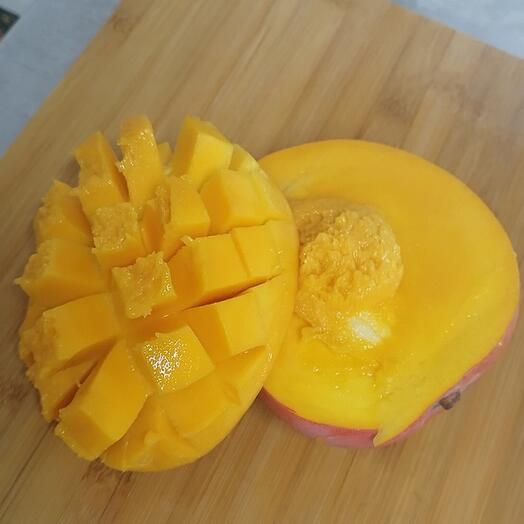 Mango R2E2
