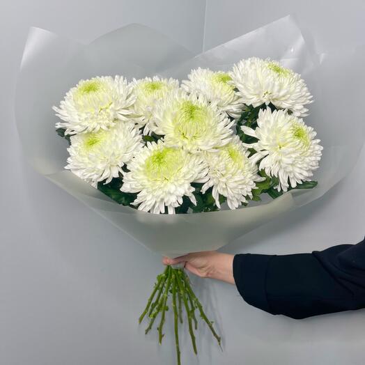 Букет шары, 9 шт