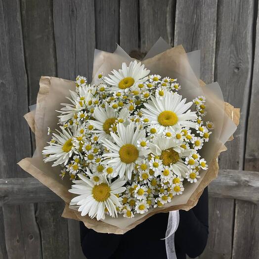 Bouquet of daisies FM059