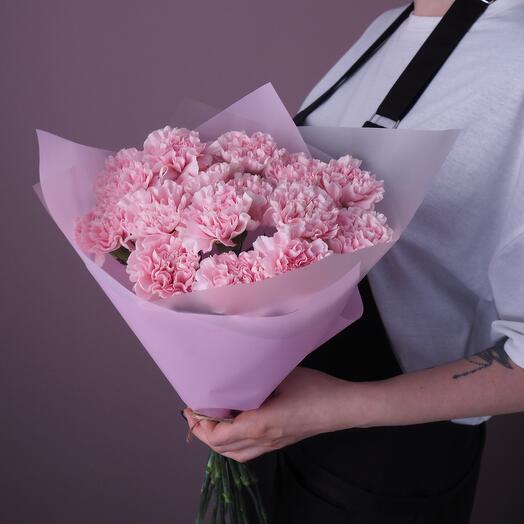 Pink carnation