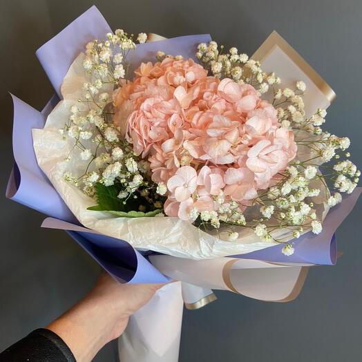 Hydrangea with gypsophila