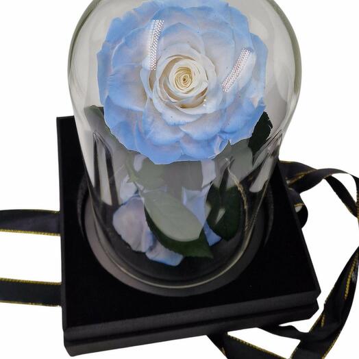 Eternal rose in glass dome 4