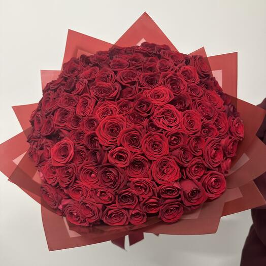 Classic red roses 101